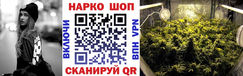 Купить закладку Суровикино Канабис  Alpha-PVP  Галлюциногенные грибы  Cocaine  Гашиш 