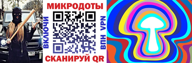 Галлюциногенные грибы Psilocybine cubensis  Суровикино 